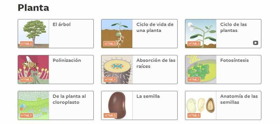Portal multimedia de biología (ciencias de la vida) con clips de video