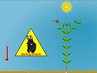 Simuladores de Laboratorios de adaptación a Clima árido de las plantas