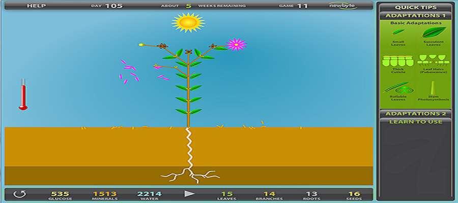 Laboratorios de Adaptación a Clima árido de las plantas de NewByte