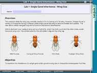 Laboratorios virtuales de Genética de Drosophila NewByte en Colombia