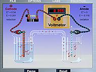 Laboratorios virtuales de química celdas electro químicas NewByte en Colombia