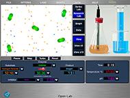 Laboratorios virtuales de química enzimas NewByte en Colombia