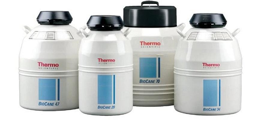 TERMO DE NITRÓGENO LÍQUIDO DE 1.5 L THERMO SCIENTIFIC - CY50915