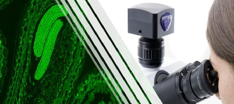 Cámaras digitales OPTIKA con conector USB 2.0 para Microscopios