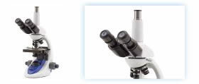 Microscopio educativo para biología Optika B-193