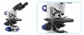 Microscopio biológico (bi) educativo Optika B-67 en Colombia