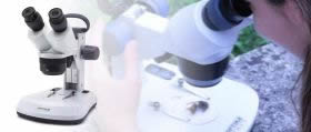 Estereo Microscopios para educación Optika Serie MX/SFX en Colombia