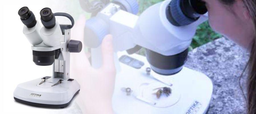 Microscopios estereo Optika para educación en Colombia