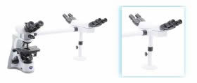 Microscopio para rutina en el laboratorio, investigación, universidad marca Optika en Colombia