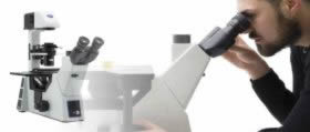 Microscopios invertidos Optika para el laboratorio en Colombia