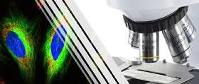 Microscopios Optika en Colombia