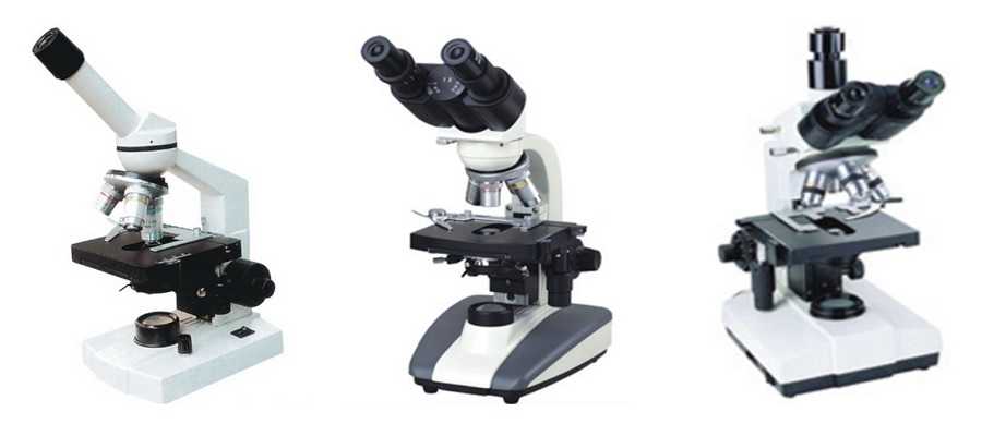 Microscopios biológicos para educación Procet Scientific Colombia