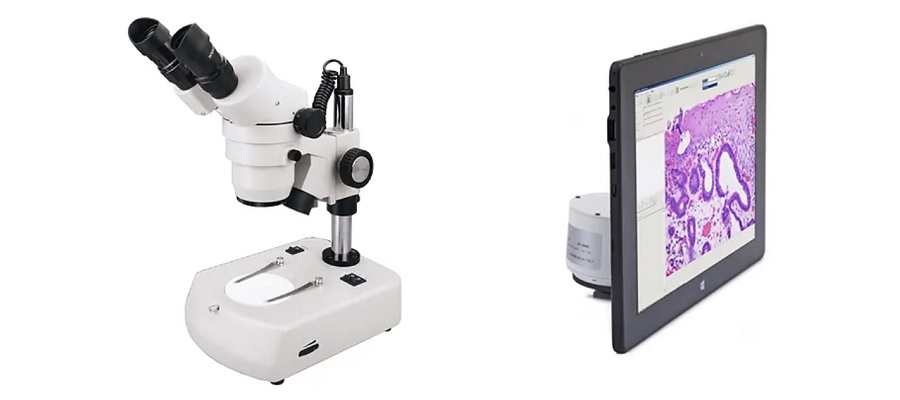 Estéreo microscopios o microscopios estereoscópicos para educación Procet Scientific Colombia