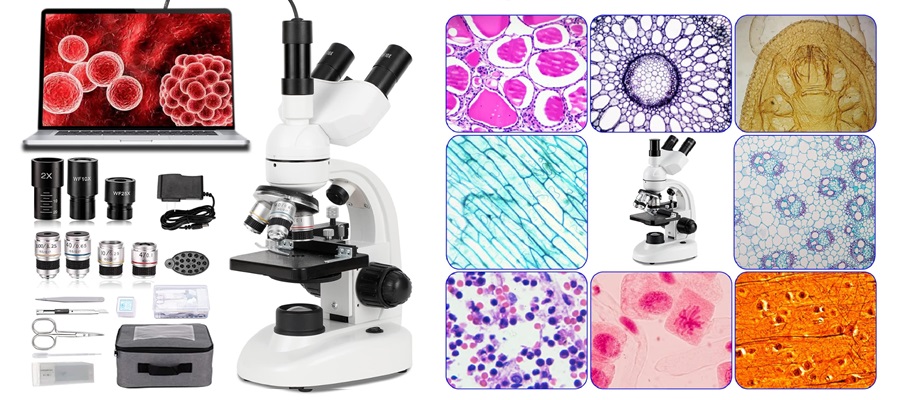 Microscopios biológicos para educación StudyRoom® Labs Colombia