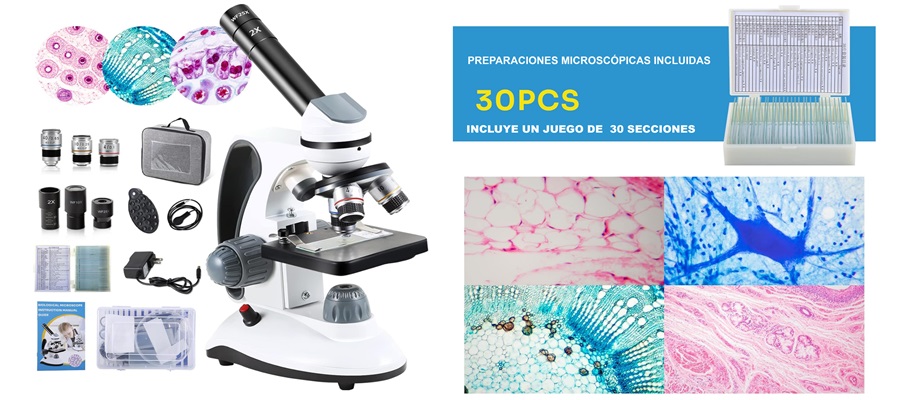 Microscopios biológicos para educación StudyRoom® Labs Colombia