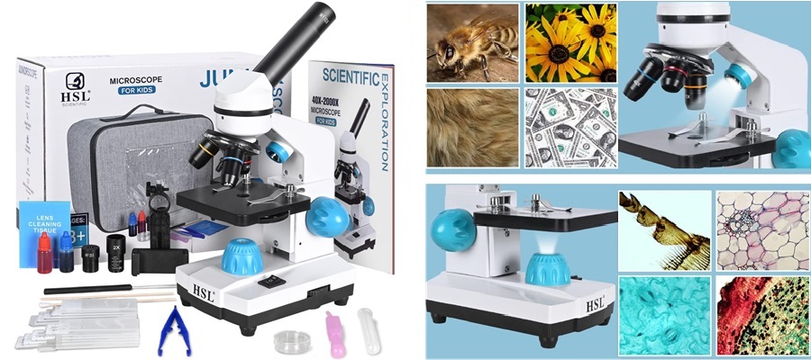 Microscopios biológicos para educación StudyRoom® Labs Colombia