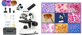Microscopios biológicos para educación StudyRoom® Labs Colombia
