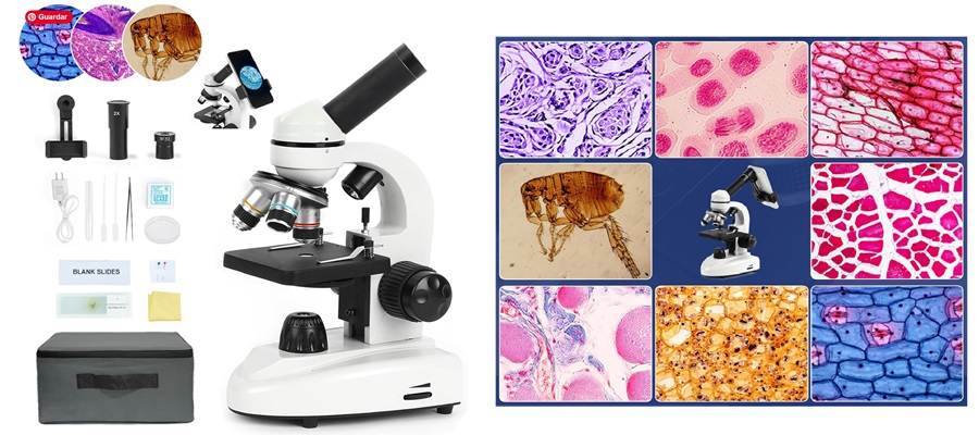 Microscopios biológicos para educación StudyRoom® Labs Colombia