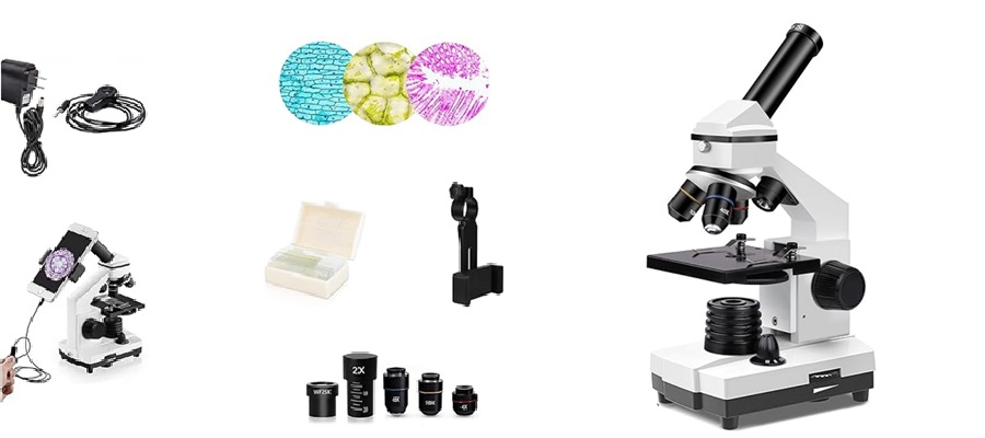 Microscopios biológicos para educación StudyRoom® Labs Colombia